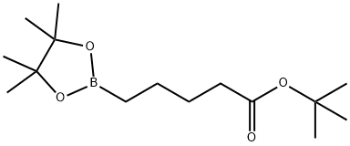 tert-Butyl 5-(tetramethyl-1,3,2-dioxaborolan-2-yl)pentanoate Struktur