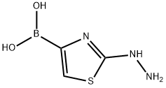 Boronic acid, B-(2-hydrazinyl-4-thiazolyl)- Structure