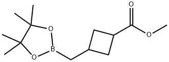 Cyclobutanecarboxylic acid, 3-[(4,4,5,5-tetramethyl-1,3,2-dioxaborolan-2-yl)methyl]-, methyl ester 化学構造式