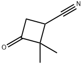 2,2-dimethyl-3-oxocyclobutane-1-carbonitrile Struktur