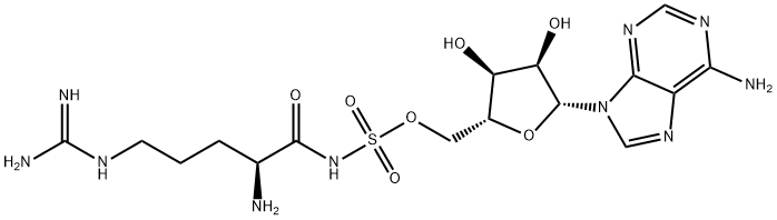 Arg-AMS Structure