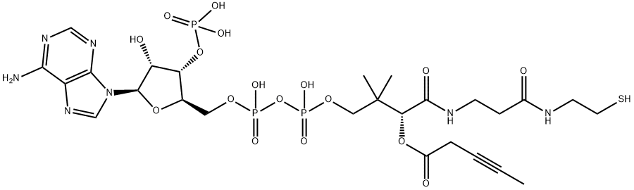 3-pentynoyl-coenzyme A Structure