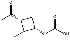 (1α,3α)-3-アセチル-2,2-ジメチルシクロブタン酢酸 化学構造式