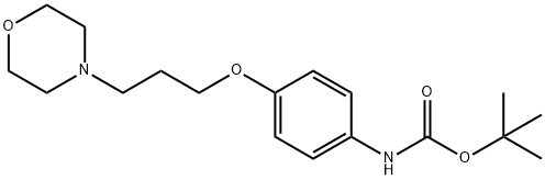N-Boc-4-[3-(4-Morpholinyl)propoxy]aniline 化学構造式