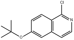 Isoquinoline, 1-chloro-6-(1,1-dimethylethoxy)- Structure