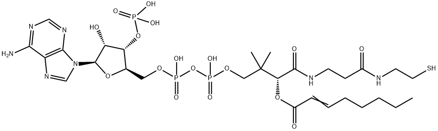 S-2-Octenoate coenzyme A,71629-68-0,结构式
