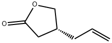 2(3H)-Furanone, dihydro-4-(2-propenyl)-, (R)- (9CI)