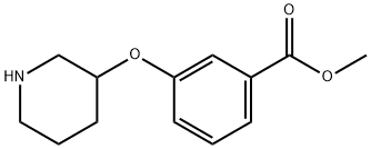 946681-12-5 methyl 3-(piperidin-3-yloxy)benzoate