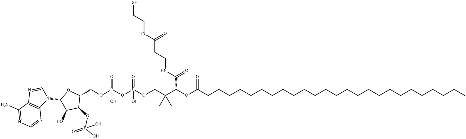 Coenzyme A, S-hexacosanoate Structure