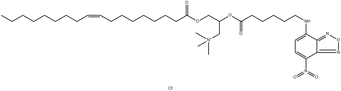 FLUORESCENT DOTAP|FLUORESCENT DOTAP