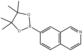 7-异喹啉硼酸频哪醇酯,1082947-07-6,结构式
