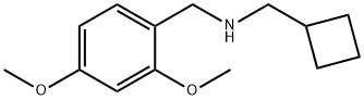 (Cyclobutylmethyl)[(2,4-dimethoxyphenyl)methyl]amine Struktur