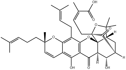9R-10alpha-Hydroxyepigambogic acid|9R-10ALPHA-羟基表藤黄酸