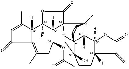 Artanomaloide Structure