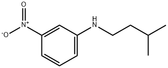 Benzenamine, N-(3-methylbutyl)-3-nitro- Structure