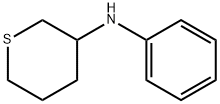 2H-Thiopyran-3-amine, tetrahydro-N-phenyl- 化学構造式