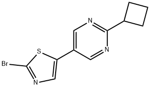 2-Bromo-5-(2-cyclobutylpyrimidyl-5-yl)thiazole 化学構造式