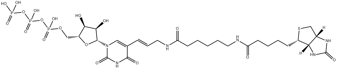 5-(N-[N-Biotinyl-ω-aminocaproyl]-3-aminoallyl)uridine 5′-triphosphate 化学構造式