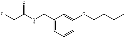 N-[(3-Butoxyphenyl)methyl]-2-chloroacetamide Structure