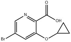 5-bromo-3-cyclopropoxypyridine-2-carboxylic acid 结构式