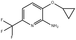 3-cyclopropoxy-6-(trifluoromethyl)pyridin-2-amine Structure