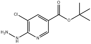 3-Pyridinecarboxylic acid, 5-chloro-6-hydrazinyl-, 1,1-dimethylethyl ester Struktur