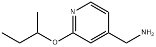 2-(丁烷-2-氧基)吡啶-4-基]甲胺, 1247570-45-1, 结构式