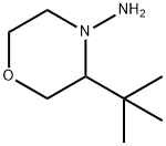 4-Morpholinamine, 3-(1,1-dimethylethyl)- Structure