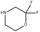 2,2-Difluoromorpholine, 1263180-85-3, 结构式