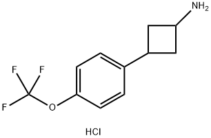 3-[4-(trifluoromethoxy)phenyl]cyclobutan-1-amine hydrochloride, Mixture of diastereomers Structure