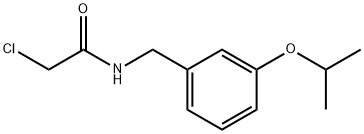 2-chloro-N-{[3-(propan-2-yloxy)phenyl]methyl}acetamide Structure