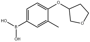 [3-methyl-4-(oxolan-3-yloxy)phenyl]boronic acid 结构式