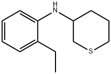 N-(2-乙基苯基)四氢-2H-噻喃-3-胺,1342900-99-5,结构式
