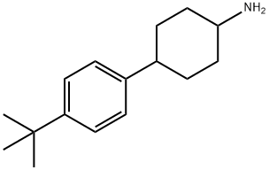 4-(4-tert-butylphenyl)cyclohexan-1-amine 化学構造式