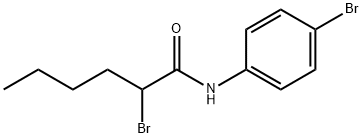 Hexanamide, 2-bromo-N-(4-bromophenyl)- 结构式