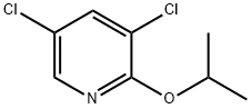 Pyridine, 3,5-dichloro-2-(1-methylethoxy)- Struktur