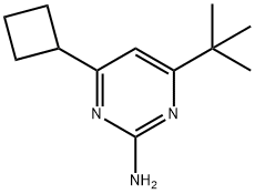 2-animo-4-(cyclobutyl)-6-(tert-butyl)pyrimidine Structure