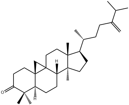 24-Methylenecycloartan-3-one 结构式