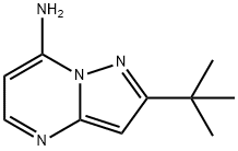 Pyrazolo[1,5-a]pyrimidin-7-amine, 2-(1,1-dimethylethyl)- Struktur