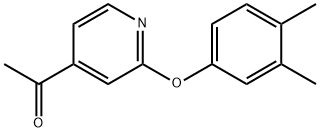 4-Acetyl-2-(3,4-dimethylphenoxy) pyridine 化学構造式