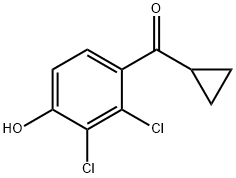 Methanone, cyclopropyl(2,3-dichloro-4-hydroxyphenyl)- Struktur