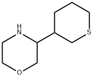Morpholine, 3-(tetrahydro-2H-thiopyran-3-yl)-,1529522-04-0,结构式