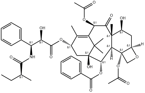 Paclitaxel impurity 19/Taxol E/(αR,βS)-α-Hydroxy-β-[[(2S)-2-methyl-1-oxobutyl]amino]benzenepropanoic Acid (2aR,4S,4aS,6R,9S,11S,12S,12aR,12bS)-6,12b-Bis(acetyloxy)-12-(benzoyloxy)-2a,3,4,4a,5,6,9,10,11,12,12a,12b-dodecahydro-4,11-dihydroxy-4a,8,13,13-tetr|EP杂质R 2,3-二氢三尖杉宁碱