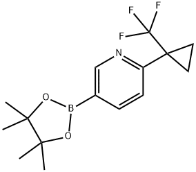 1672682-60-8 5-(4,4,5,5-四甲基-1,3,2-二氧硼杂环戊烷-2-基)-2-(1-(三氟甲基)环丙基)吡啶
