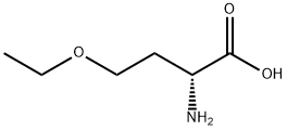 D-Homoserine, O-ethyl- Structure