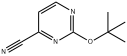 2-tert-Butoxy-pyrimidine-4-carbonitrile Structure