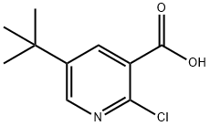 1784306-92-8 2-氯-5-叔丁基烟酸