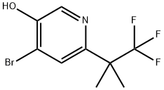 3-Pyridinol, 4-bromo-6-(2,2,2-trifluoro-1,1-dimethylethyl)- Struktur