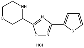 3-[3-(thiophen-2-yl)-1,2,4-oxadiazol-5-yl]morpholine hydrochloride,1803584-73-7,结构式