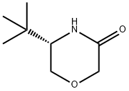 (5S)-5-(1,1-diMethylethyl-3-Morpholinone 化学構造式